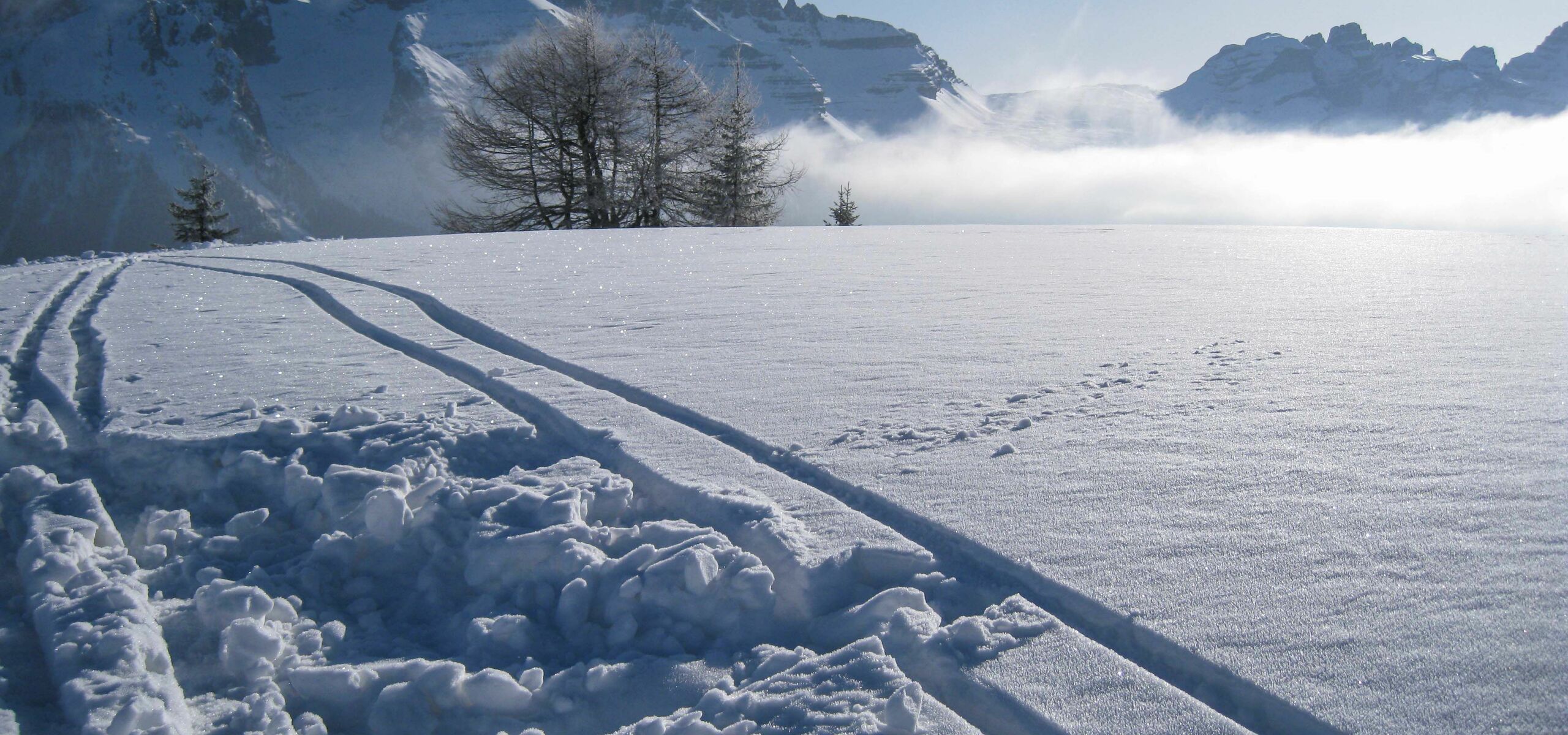 Le novità 2021-2022 sulle piste di Madonna di Campiglio