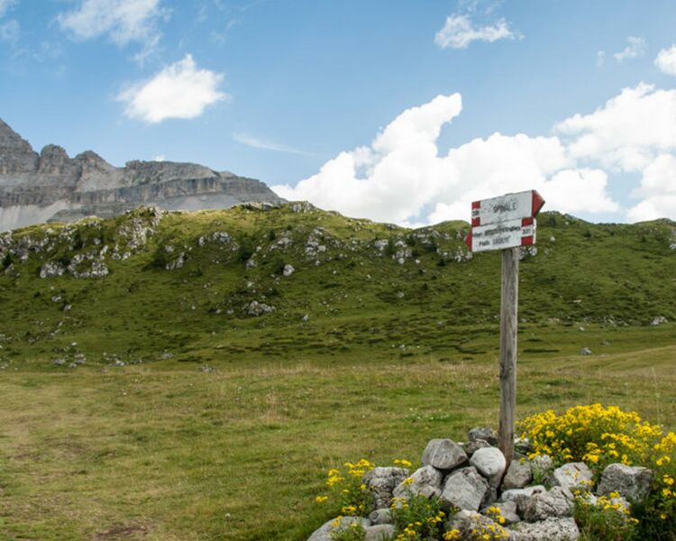 Get to know - 5 easy hikes with children around Madonna di Campiglio