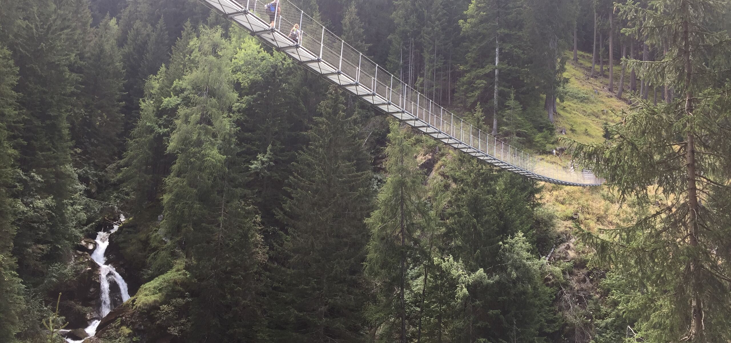 Hike to the suspended Tibetan Bridge in Val di Rabbi