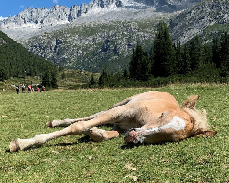 Escursione in Val di Fumo: tutto quello che c’è da sapere