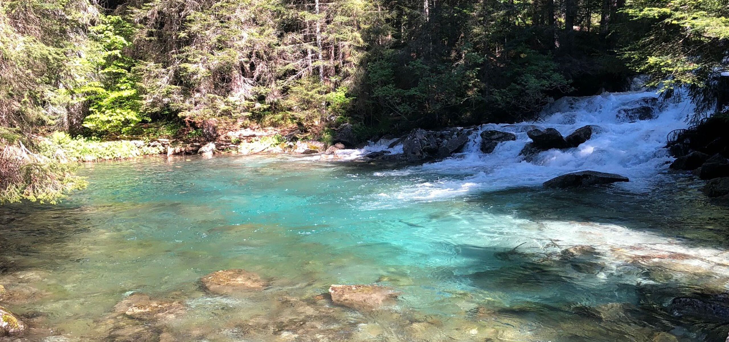 Vacanza Natura: la Val Nambrone