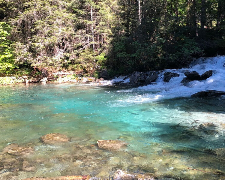 Vacanza Natura: la Val Nambrone