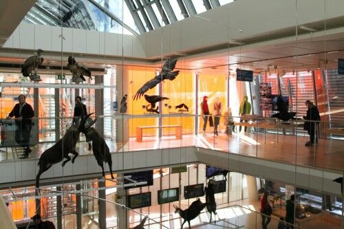 Come and visit Muse, the science museum in Trento