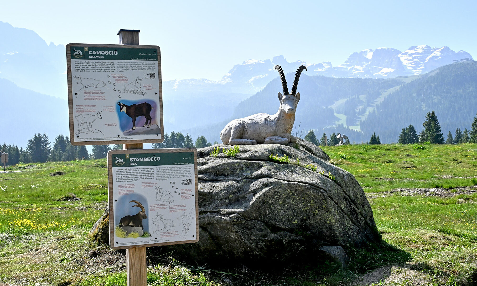Junior Park Madonna di Campiglio: un parco speciale per scoprire la fauna di montagna