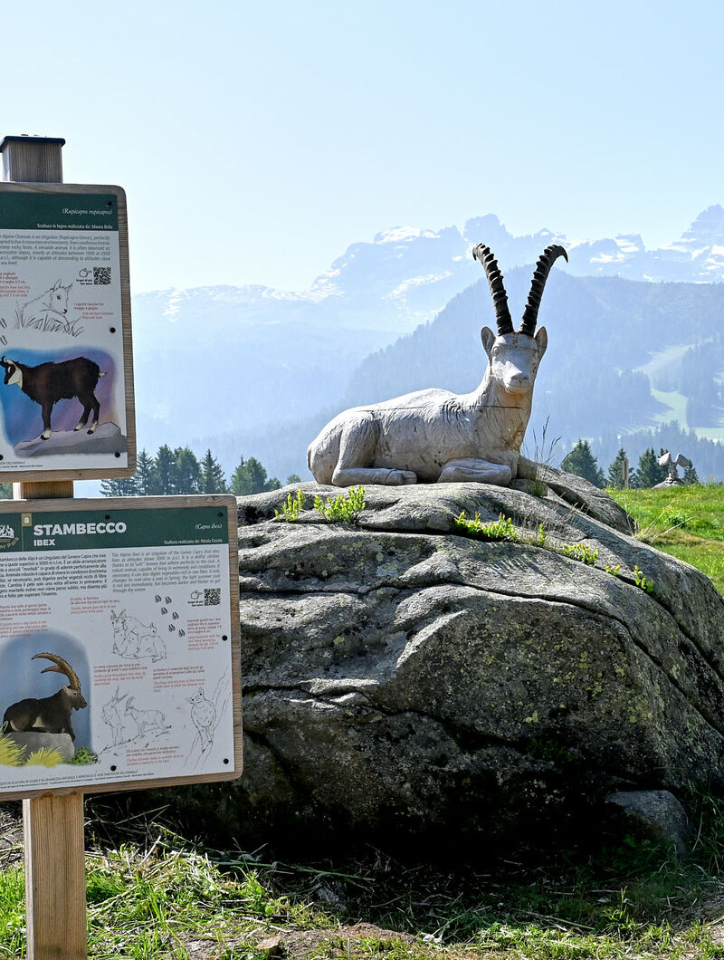 Vivi - Junior Park Madonna di Campiglio: un parco speciale per scoprire la fauna di montagna