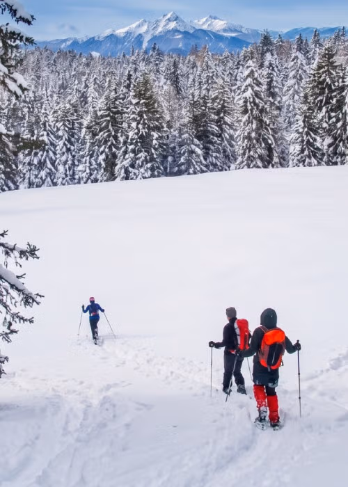 7 esperienze nella natura in inverno a Madonna di Campiglio