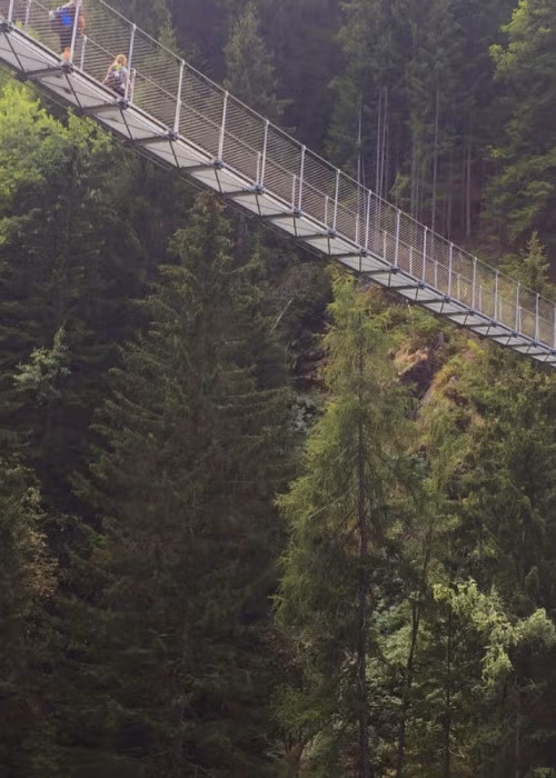 Escursione al Ponte Tibetano sospeso in Val di Rabbix