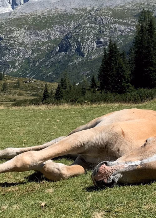 Escursione in Val di Fumo: tutto quello che c&rsquo;&egrave; da sapere