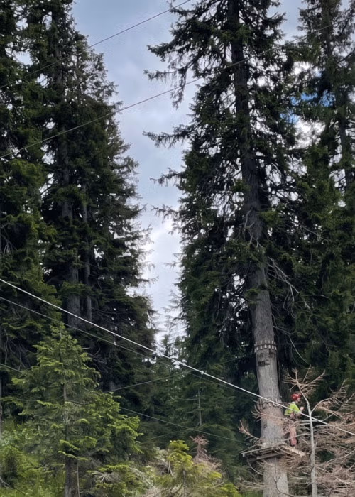 Montagnoli Adventure Park