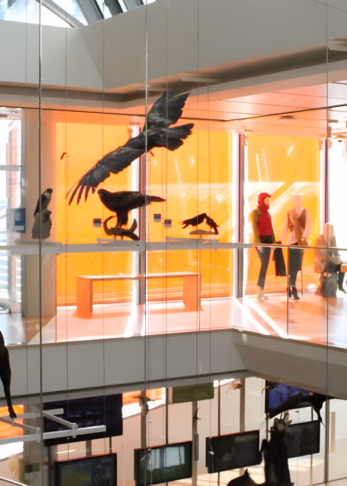Tutti al Muse! Il museo delle scienze a Trento